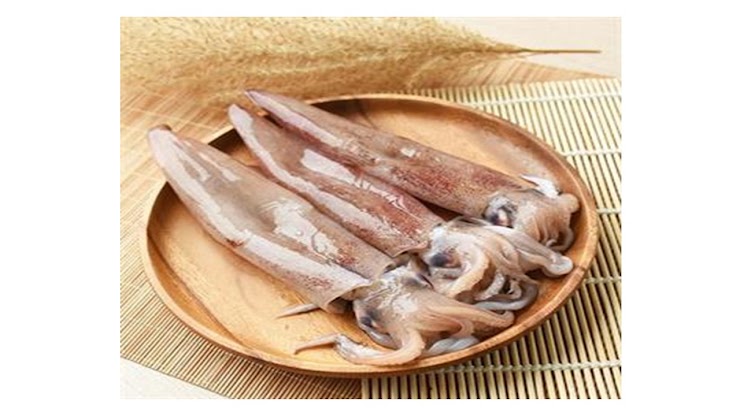 【Peng Hu Seafood】Penghu Raw Frozen Medium Neritic Squid