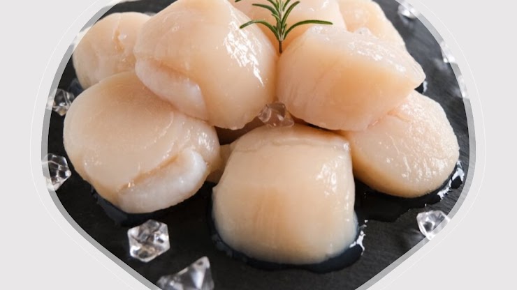 SF04 Scallop U15