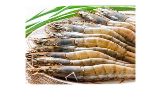 SF02 Prawns 6/8